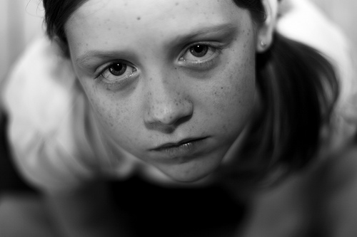 creative commons license: apdk